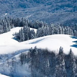 先锋影音男人网
