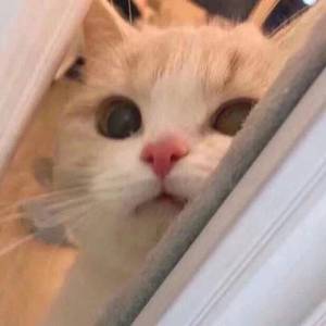 先锋影音男人网
