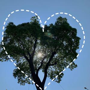 先锋影音男人网
