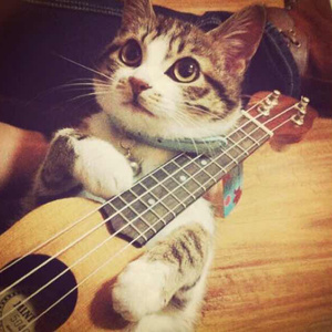 先锋影音男人网
